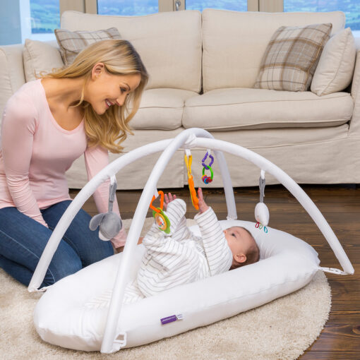 baby pod play arch with toys